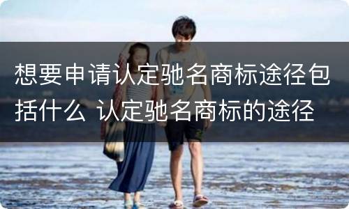 想要申请认定驰名商标途径包括什么 认定驰名商标的途径