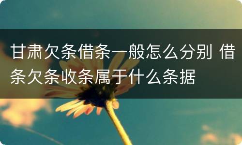 甘肃欠条借条一般怎么分别 借条欠条收条属于什么条据