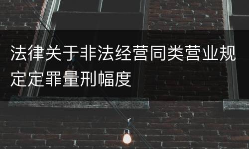法律关于非法经营同类营业规定定罪量刑幅度