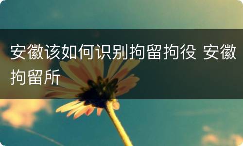 安徽该如何识别拘留拘役 安徽拘留所