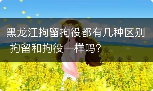 黑龙江拘留拘役都有几种区别 拘留和拘役一样吗?