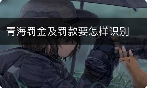 青海罚金及罚款要怎样识别