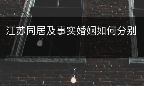 江苏同居及事实婚姻如何分别