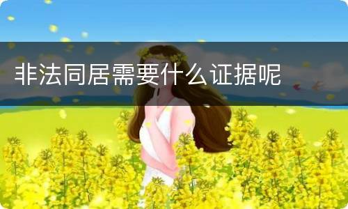 非法同居需要什么证据呢