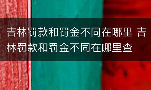 吉林罚款和罚金不同在哪里 吉林罚款和罚金不同在哪里查