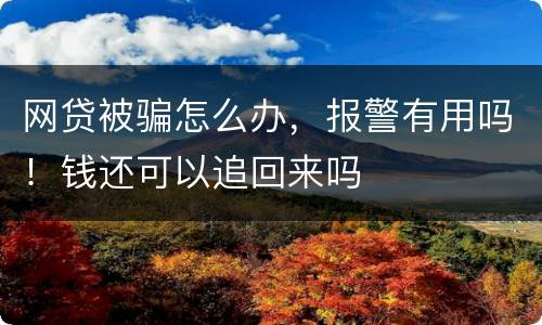 网贷被骗怎么办，报警有用吗！钱还可以追回来吗