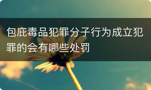 包庇毒品犯罪分子行为成立犯罪的会有哪些处罚