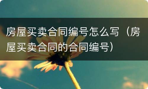 房屋买卖合同编号怎么写（房屋买卖合同的合同编号）