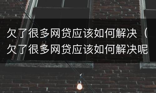 欠了很多网贷应该如何解决（欠了很多网贷应该如何解决呢）