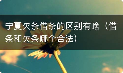 宁夏欠条借条的区别有啥（借条和欠条哪个合法）