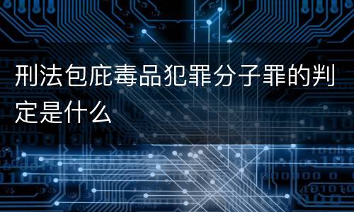 刑法包庇毒品犯罪分子罪的判定是什么