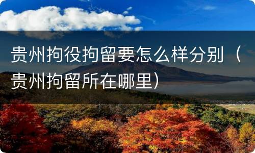 贵州拘役拘留要怎么样分别（贵州拘留所在哪里）