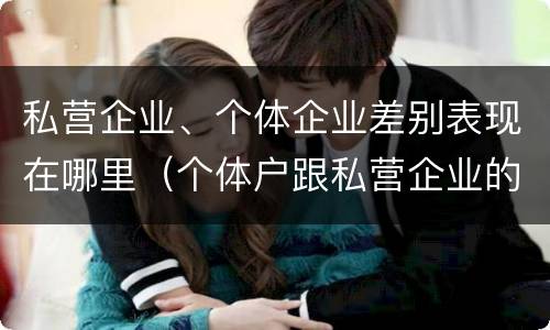 私营企业、个体企业差别表现在哪里（个体户跟私营企业的区别）