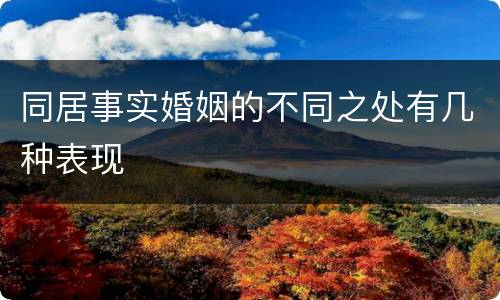 同居事实婚姻的不同之处有几种表现