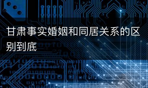 甘肃事实婚姻和同居关系的区别到底