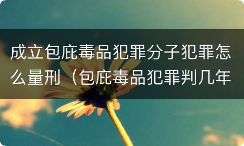 成立包庇毒品犯罪分子犯罪怎么量刑（包庇毒品犯罪判几年）