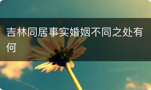 吉林同居事实婚姻不同之处有何