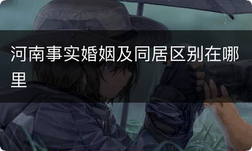 河南事实婚姻及同居区别在哪里