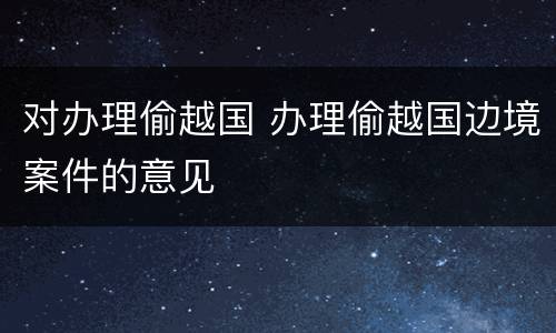 对办理偷越国 办理偷越国边境案件的意见