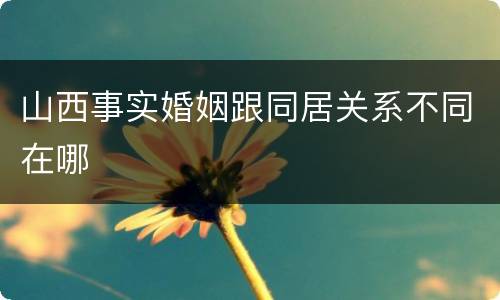 山西事实婚姻跟同居关系不同在哪