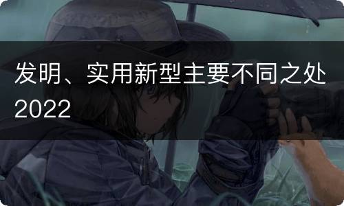 发明、实用新型主要不同之处2022
