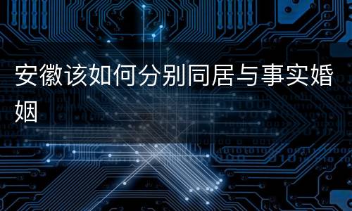 安徽该如何分别同居与事实婚姻