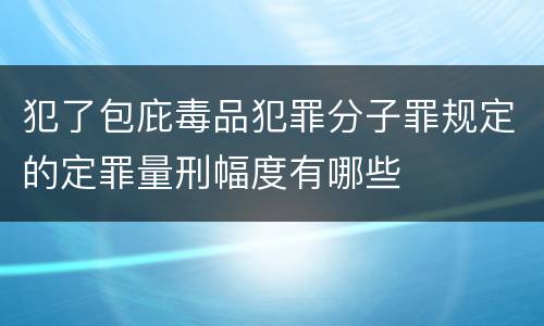 犯了包庇毒品犯罪分子罪规定的定罪量刑幅度有哪些