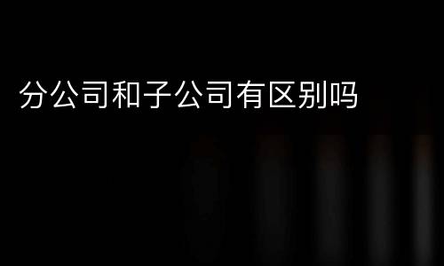 分公司和子公司有区别吗