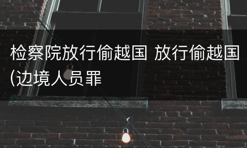 检察院放行偷越国 放行偷越国(边境人员罪