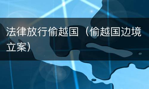 法律放行偷越国（偷越国边境立案）
