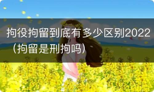 拘役拘留到底有多少区别2022（拘留是刑拘吗）