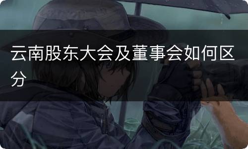 云南股东大会及董事会如何区分