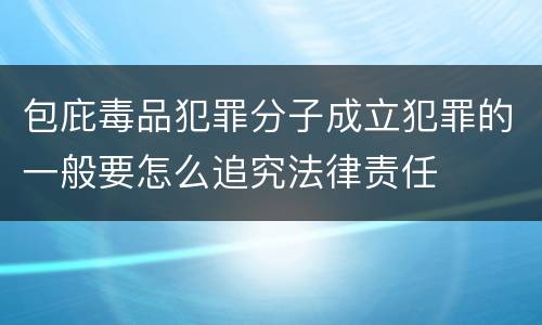 包庇毒品犯罪分子成立犯罪的一般要怎么追究法律责任