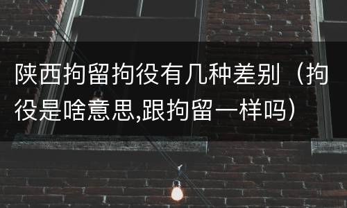 陕西拘留拘役有几种差别（拘役是啥意思,跟拘留一样吗）