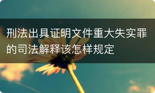 刑法出具证明文件重大失实罪的司法解释该怎样规定