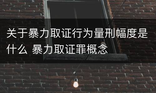 关于暴力取证行为量刑幅度是什么 暴力取证罪概念