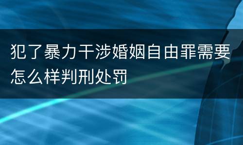 犯了暴力干涉婚姻自由罪需要怎么样判刑处罚