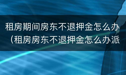 租房期间房东不退押金怎么办（租房房东不退押金怎么办派出所管吗）