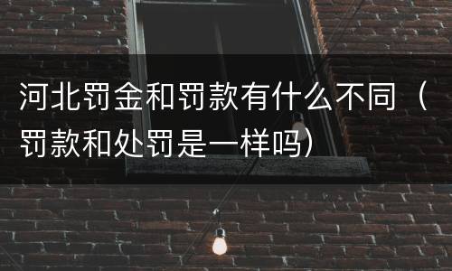 河北罚金和罚款有什么不同（罚款和处罚是一样吗）