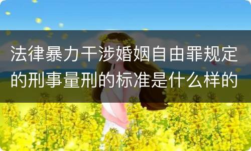 法律暴力干涉婚姻自由罪规定的刑事量刑的标准是什么样的