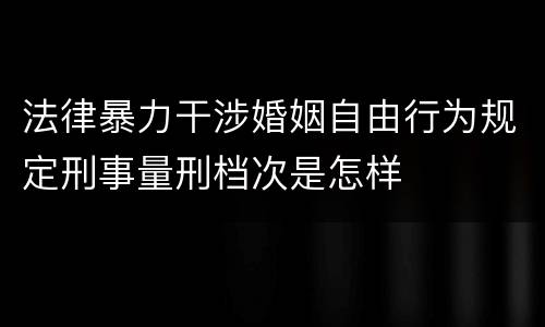 法律暴力干涉婚姻自由行为规定刑事量刑档次是怎样