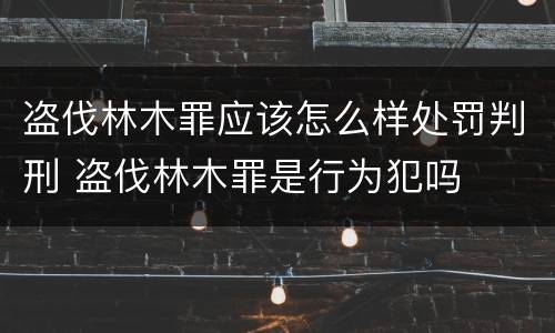 盗伐林木罪应该怎么样处罚判刑 盗伐林木罪是行为犯吗