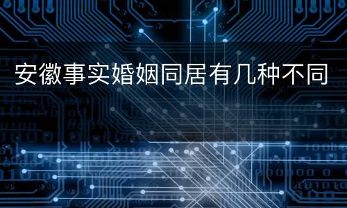 安徽事实婚姻同居有几种不同
