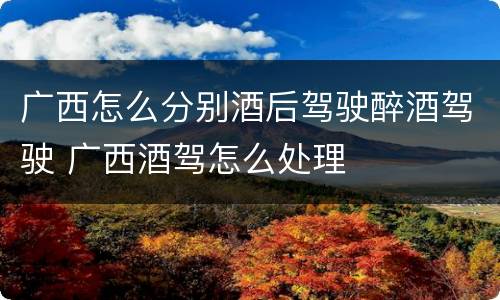 广西怎么分别酒后驾驶醉酒驾驶 广西酒驾怎么处理