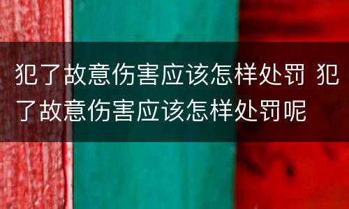 犯了故意伤害应该怎样处罚 犯了故意伤害应该怎样处罚呢