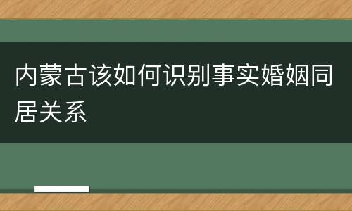 内蒙古该如何识别事实婚姻同居关系