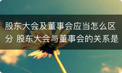 股东大会及董事会应当怎么区分 股东大会与董事会的关系是什么