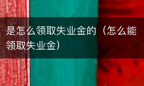 是怎么领取失业金的（怎么能领取失业金）