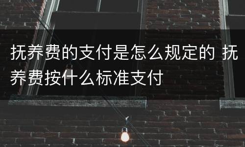 抚养费的支付是怎么规定的 抚养费按什么标准支付