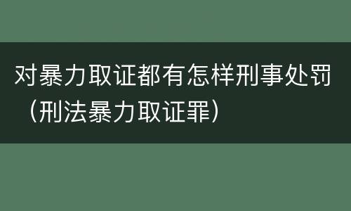 对暴力取证都有怎样刑事处罚（刑法暴力取证罪）